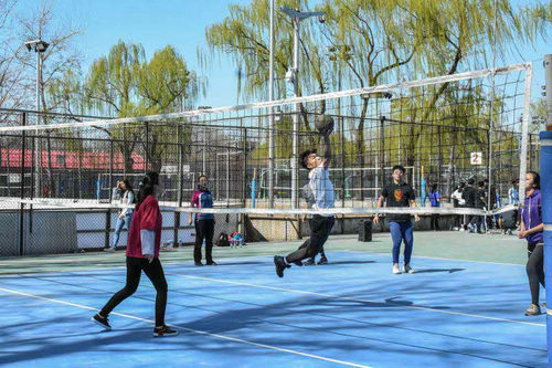 best365英国在线体育