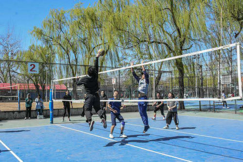 best365英国在线体育