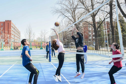 best365英国在线体育