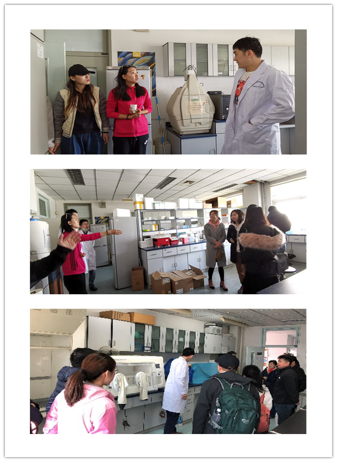 best365英国在线体育