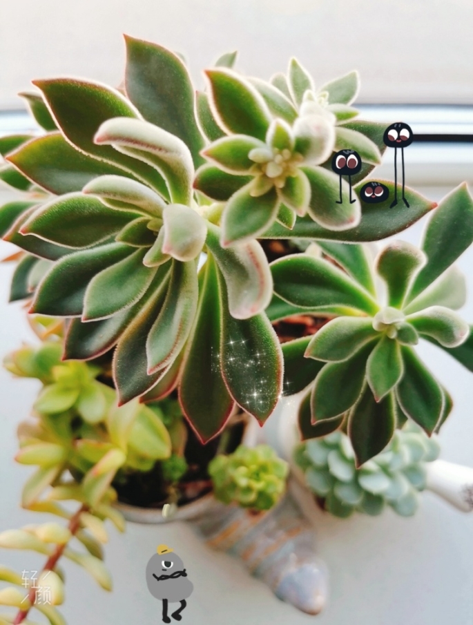 best365英国在线体育