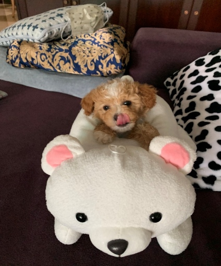 best365英国在线体育