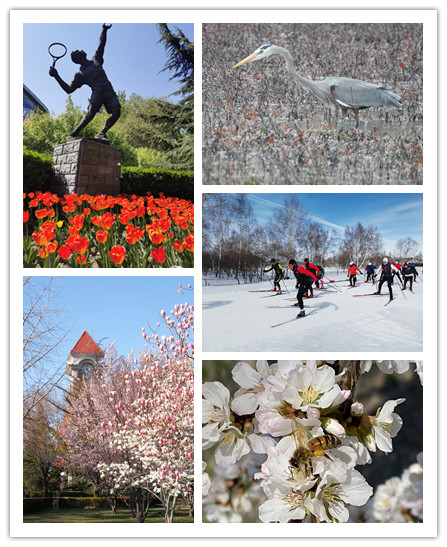 best365英国在线体育