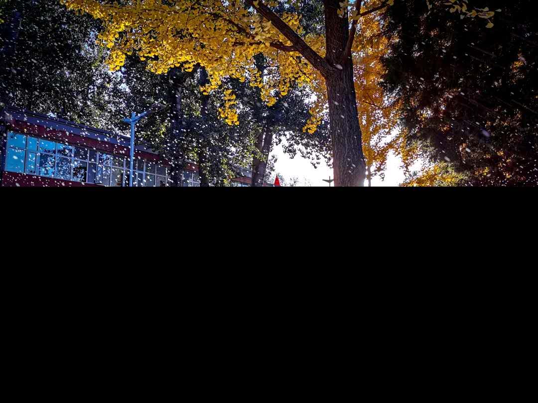 best365英国在线体育