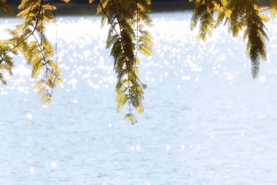 best365英国在线体育