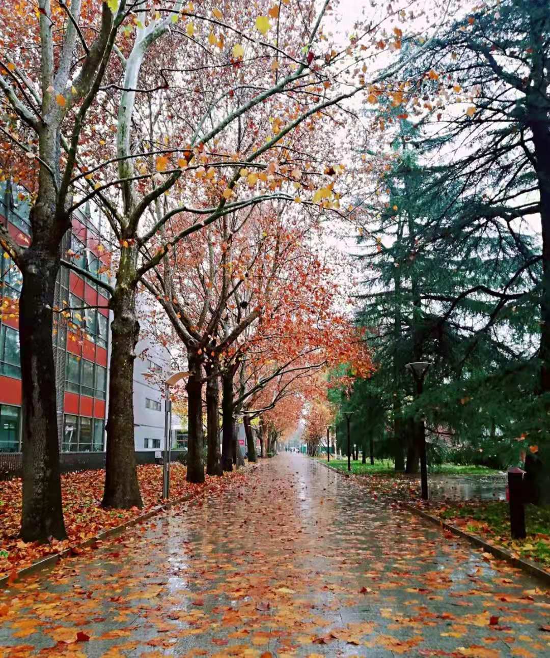 best365英国在线体育