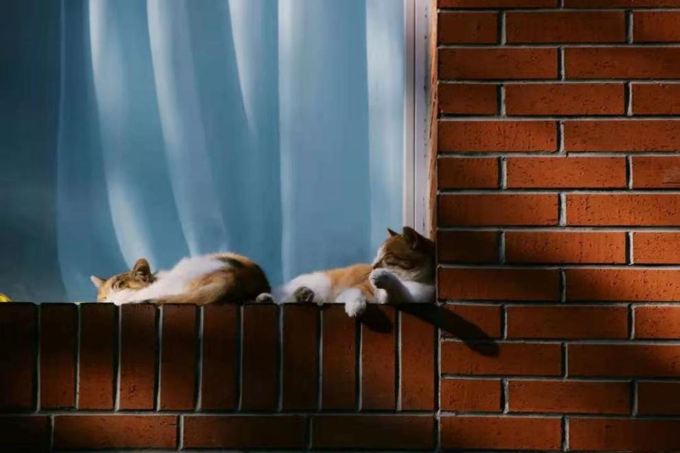 best365英国在线体育