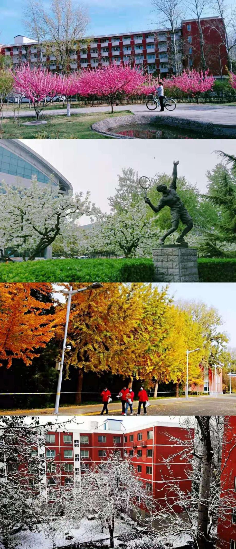 best365英国在线体育