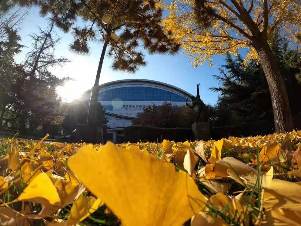 best365英国在线体育