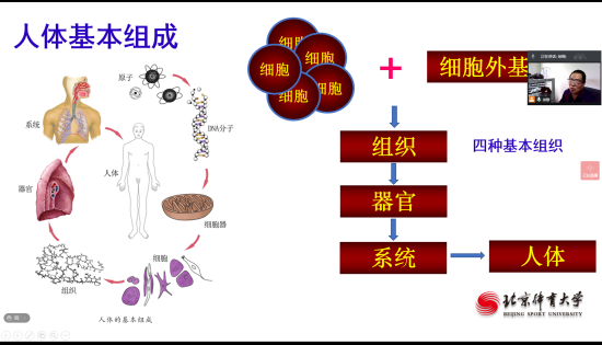 best365英国在线体育