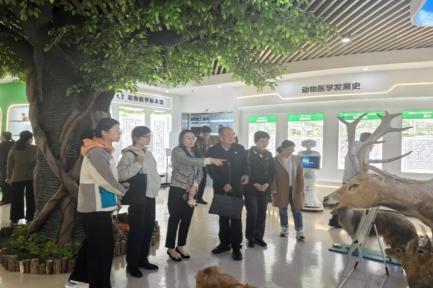 best365英国在线体育